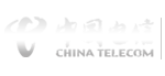 中国电信集团有限公司